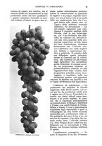 giornale/UM10003065/1935/unico/00000045