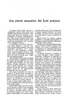 giornale/UM10003065/1935/unico/00000055