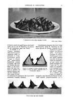 giornale/UM10003065/1935/unico/00000057