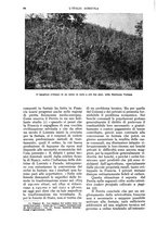 giornale/UM10003065/1935/unico/00000104