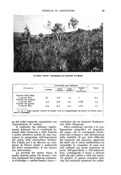 L'Italia agricola