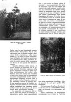 giornale/UM10003065/1935/unico/00000106