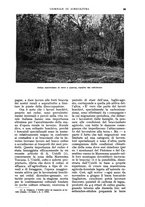 giornale/UM10003065/1935/unico/00000109