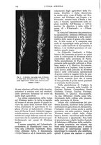 giornale/UM10003065/1935/unico/00000120
