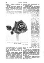 giornale/UM10003065/1935/unico/00000124