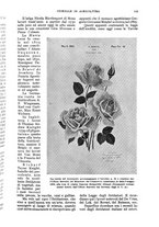 giornale/UM10003065/1935/unico/00000125