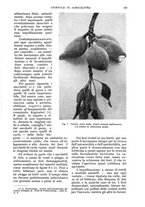 giornale/UM10003065/1935/unico/00000157