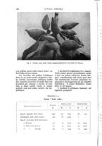 giornale/UM10003065/1935/unico/00000158