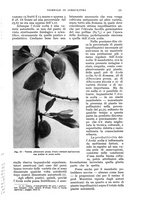 giornale/UM10003065/1935/unico/00000161