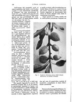 giornale/UM10003065/1935/unico/00000162