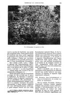 giornale/UM10003065/1935/unico/00000163