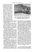 giornale/UM10003065/1935/unico/00000195
