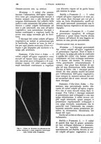 giornale/UM10003065/1935/unico/00000204