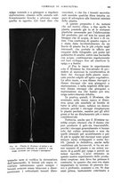 giornale/UM10003065/1935/unico/00000209