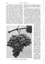 giornale/UM10003065/1935/unico/00000214
