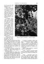 giornale/UM10003065/1935/unico/00000215