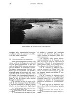 giornale/UM10003065/1935/unico/00000220