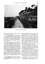 giornale/UM10003065/1935/unico/00000221