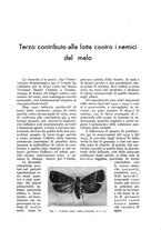 giornale/UM10003065/1935/unico/00000231