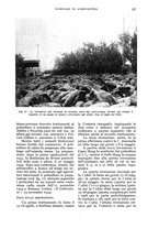 giornale/UM10003065/1935/unico/00000241