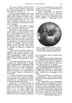 giornale/UM10003065/1935/unico/00000245