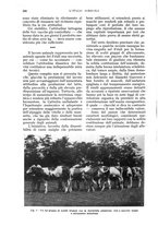 giornale/UM10003065/1935/unico/00000304