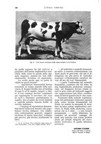 giornale/UM10003065/1935/unico/00000308