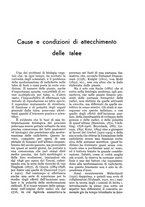 giornale/UM10003065/1935/unico/00000315