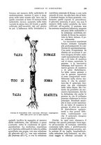 giornale/UM10003065/1935/unico/00000317