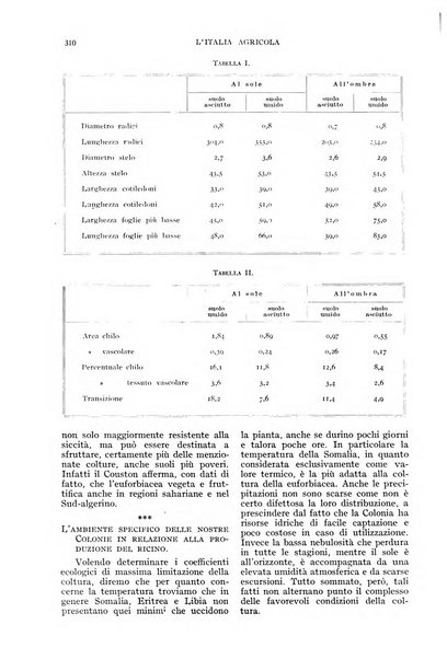 L'Italia agricola