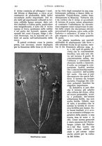 giornale/UM10003065/1935/unico/00000330