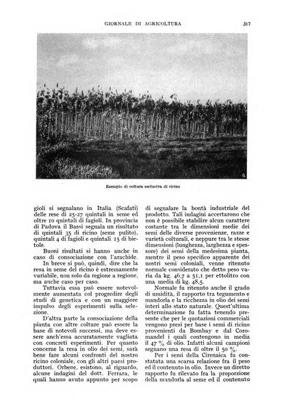 L'Italia agricola