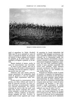 giornale/UM10003065/1935/unico/00000335