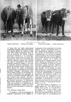 giornale/UM10003065/1935/unico/00000341