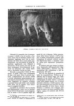 giornale/UM10003065/1935/unico/00000355