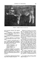 giornale/UM10003065/1935/unico/00000357