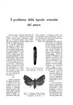 giornale/UM10003065/1935/unico/00000397