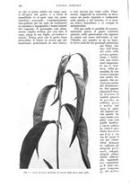 giornale/UM10003065/1935/unico/00000398