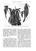giornale/UM10003065/1935/unico/00000399