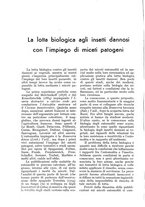 giornale/UM10003065/1935/unico/00000414