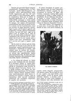 giornale/UM10003065/1935/unico/00000424