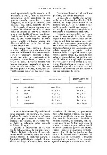 L'Italia agricola