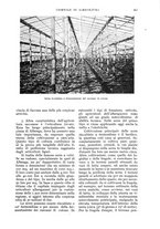 giornale/UM10003065/1935/unico/00000427