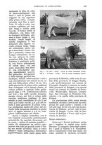 giornale/UM10003065/1935/unico/00000443