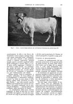 giornale/UM10003065/1935/unico/00000445