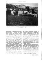 giornale/UM10003065/1935/unico/00000450