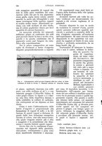 giornale/UM10003065/1935/unico/00000586