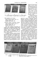 giornale/UM10003065/1935/unico/00000587