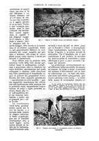 giornale/UM10003065/1935/unico/00000601