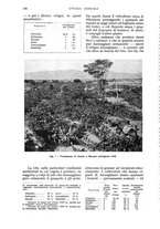 giornale/UM10003065/1935/unico/00000602